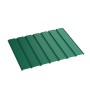 6005