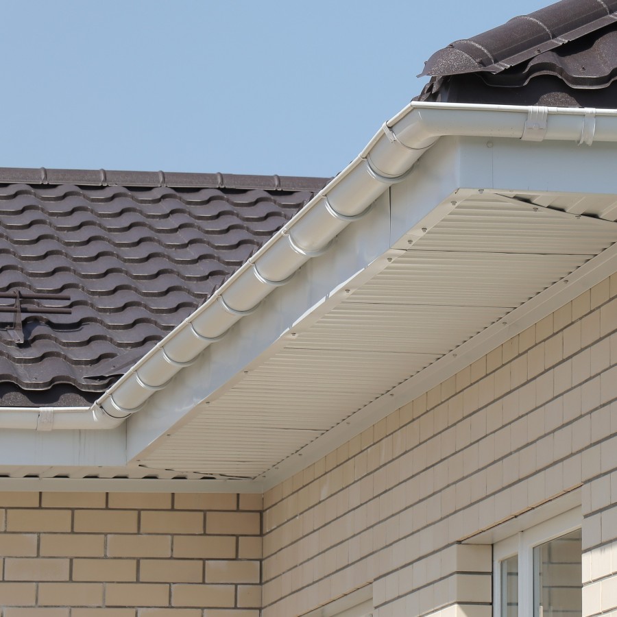 IMG_0014_1