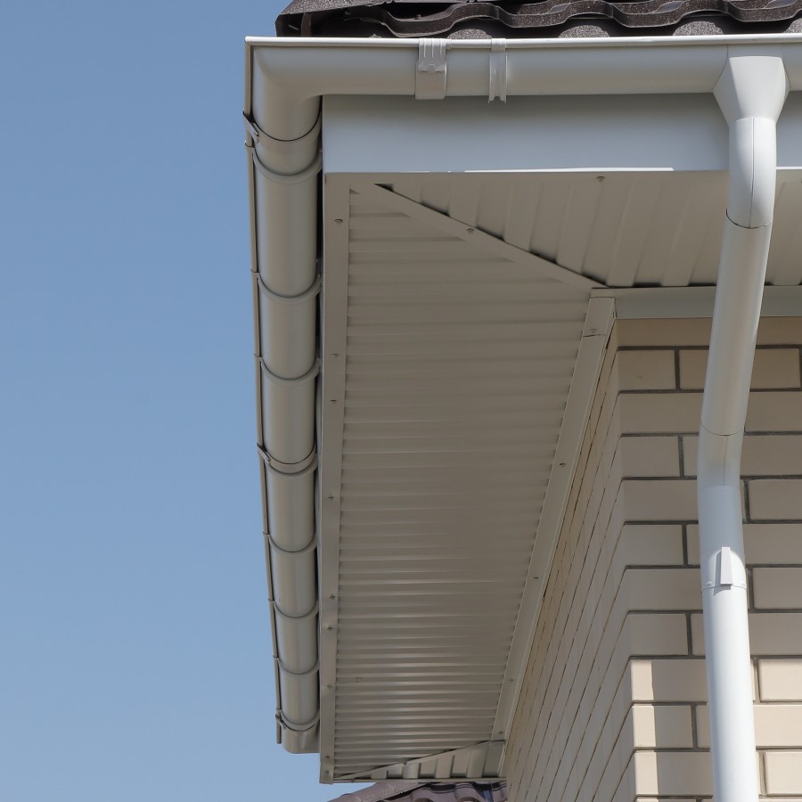 IMG_0024_1